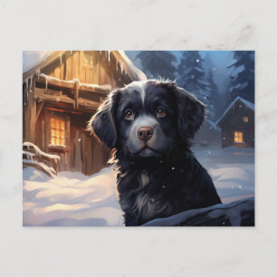 Postkarte Chien 1-20