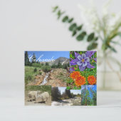 Postkarte Colorado wild lebende Tiere (Stehend Vorderseite)