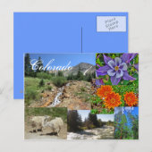 Postkarte Colorado wild lebende Tiere (Vorne/Hinten)