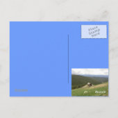 Postkarte Colorado wild lebende Tiere (Rückseite)