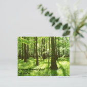 Postkarte - Congaree Nationalpark (Stehend Vorderseite)