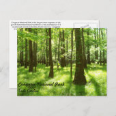 Postkarte - Congaree Nationalpark (Vorne/Hinten)