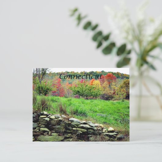 Postkarte Connecticut (Stehend Vorderseite)