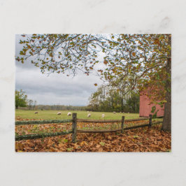 Postkarte "Connecticut Fall Farm"