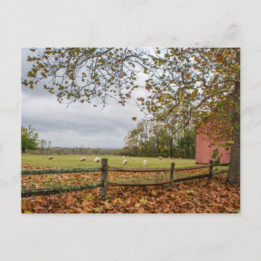Postkarte "Connecticut Fall Farm" (Vorderseite)