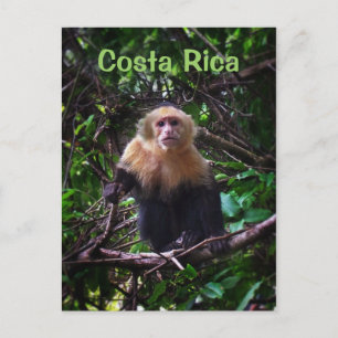 Postkarte Costa Rica