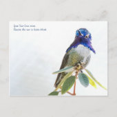 Postkarte: Costa's Hummingbird Postkarte (Vorderseite)