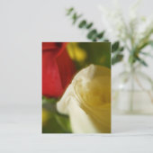 Postkarte "Crimson and Cream" (Stehend Vorderseite)