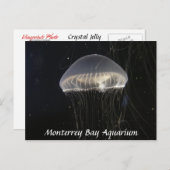 Postkarte: Crystal Jelly Postkarte (Vorne/Hinten)