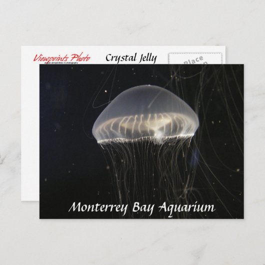 Postkarte: Crystal Jelly Postkarte (Vorne/Hinten)