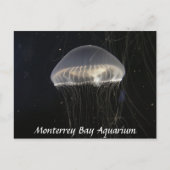 Postkarte: Crystal Jelly Postkarte (Vorderseite)