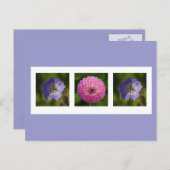 Postkarte Dahlia und Geranium (Vorne/Hinten)