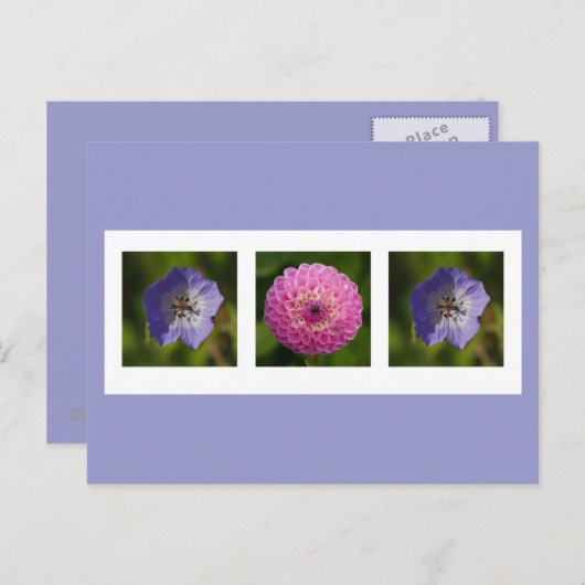 Postkarte Dahlia und Geranium (Vorne/Hinten)