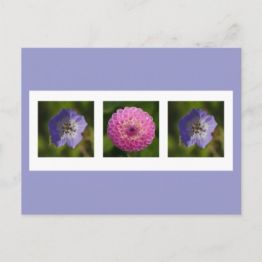 Postkarte Dahlia und Geranium (Vorderseite)