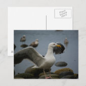 Postkarte darf nicht verzerrt werden (Vorne/Hinten)