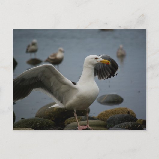 Postkarte darf nicht verzerrt werden (Vorderseite)