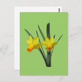 Postkarte - Darreichungsform (Vorne/Hinten)