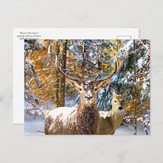 Postkarte "Deep in Forest" (Vorne/Hinten)