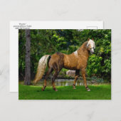 Postkarte "Demelza" (Vorne/Hinten)