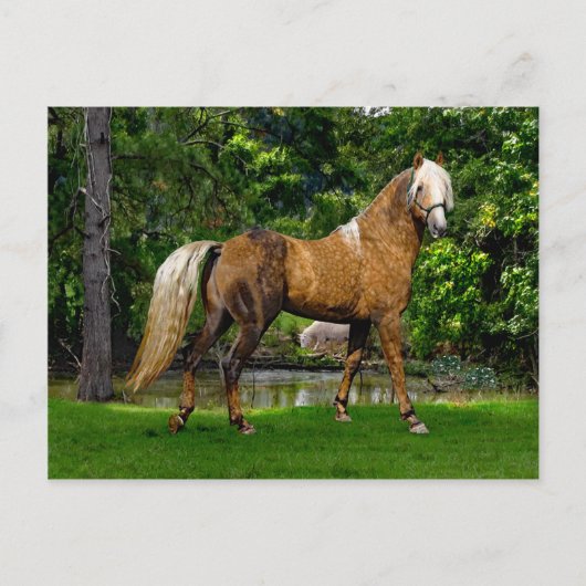 Postkarte "Demelza" (Vorderseite)