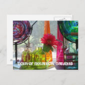 Postkarte: Denver Botanical Gardens Postkarte (Vorne/Hinten)