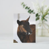 Postkarte der Alpen (Stehend Vorderseite)