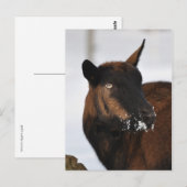 Postkarte der Alpen (Vorne/Hinten)