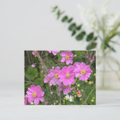 Postkarte der Anemonen (Stehend Vorderseite)