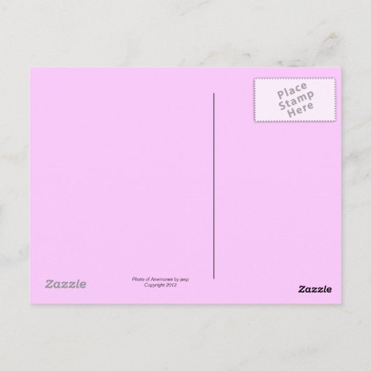 Postkarte der Anemonen (Rückseite)