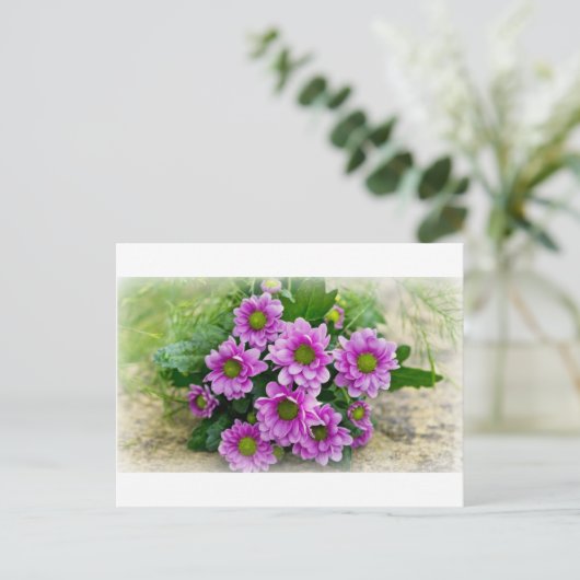 Postkarte der Asters (Stehend Vorderseite)