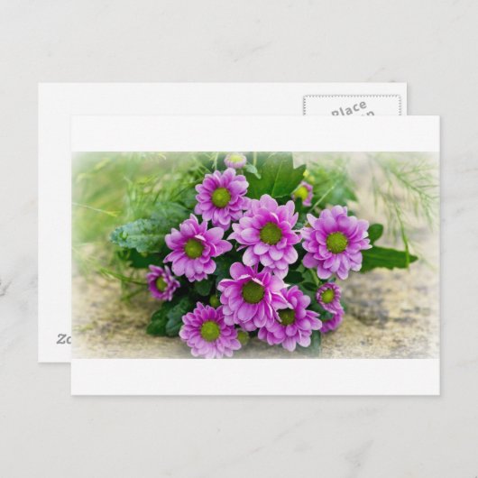 Postkarte der Asters (Vorne/Hinten)