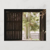 Postkarte der Barentür (Vorderseite)