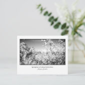 Postkarte der Birnenblüten (Stehend Vorderseite)