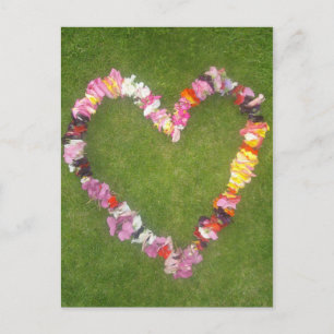 Postkarte der Blume