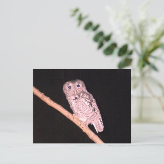 Postkarte der Eule (Stehend Vorderseite)