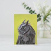 Postkarte der Eule (Stehend Vorderseite)