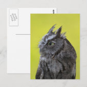 Postkarte der Eule (Vorne/Hinten)