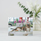 Postkarte der Frühjahrskatze (Stehend Vorderseite)