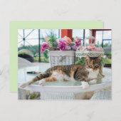 Postkarte der Frühjahrskatze (Vorne/Hinten)
