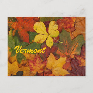 Postkarte der Herbstblätter in Vermont