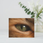 Postkarte der Katze (Stehend Vorderseite)