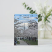 Postkarte der Kirschblüten in Trinity Bellwoods (Stehend Vorderseite)