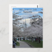 Postkarte der Kirschblüten in Trinity Bellwoods (Vorne/Hinten)