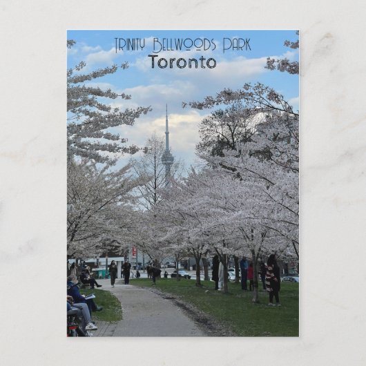 Postkarte der Kirschblüten in Trinity Bellwoods (Vorderseite)