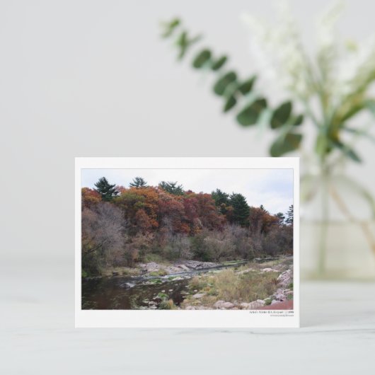 Postkarte der Künstlerpalette (Stehend Vorderseite)