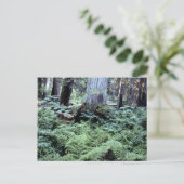 Postkarte der Nationalparks (Stehend Vorderseite)