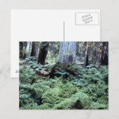 Postkarte der Nationalparks (Vorne/Hinten)