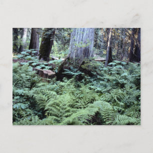 Postkarte der Nationalparks