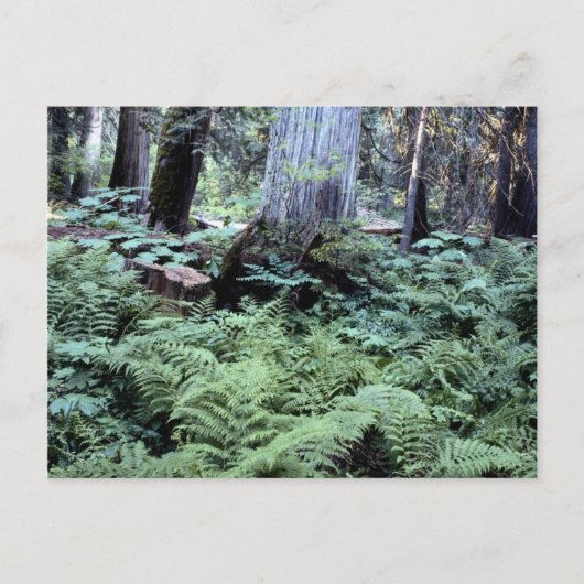 Postkarte der Nationalparks (Vorderseite)