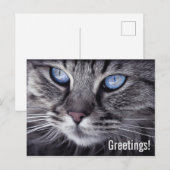 Postkarte der niedlichen Karte (Vorne/Hinten)